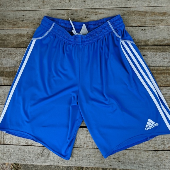 adidas climalite 365 shorts